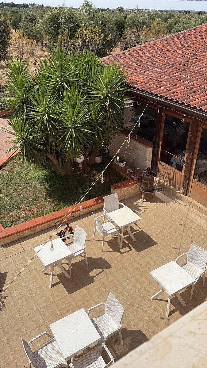 Giardino con ulivi e patio del B&B Villa Cassandra, con tavolini per la colazione all'aperto